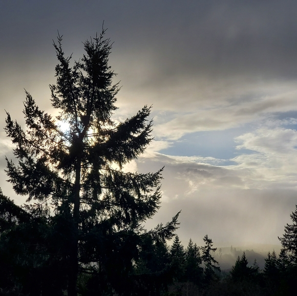 Meet your Posher, Melissa - Picture 4 of 4